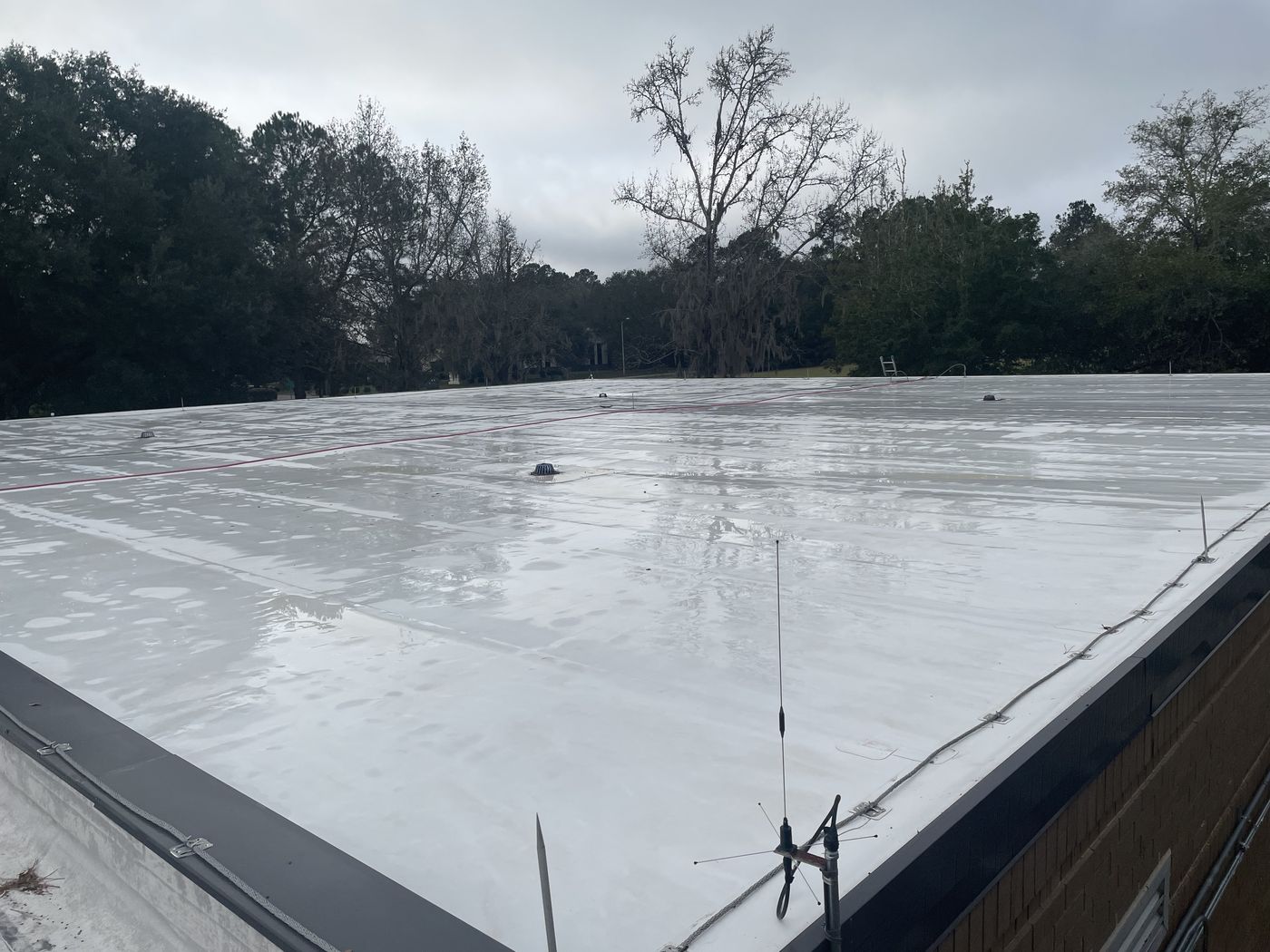 After: the same commercial flat roof cleaned back to a bright white membrane.
